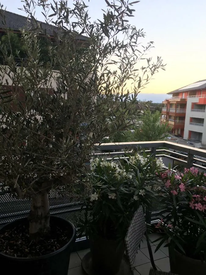 Appartement Avec Balcon Ville-la-Grand Apartment